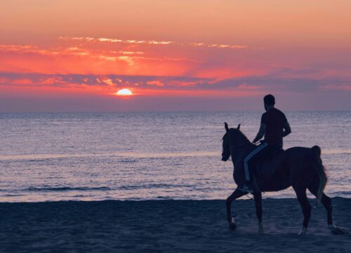 Excursion à cheval dans la mer Rouge et le désert avec baignade 1 ou 2 heures